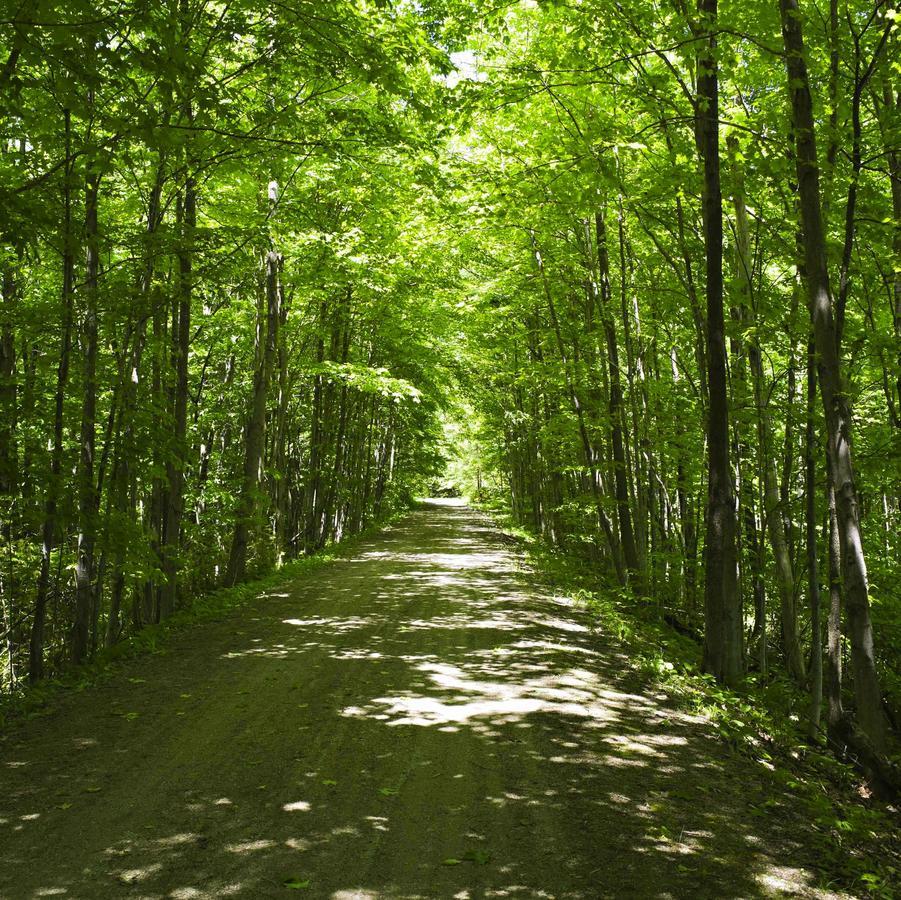 Forks Of The Credit Inn Orangeville Luaran gambar